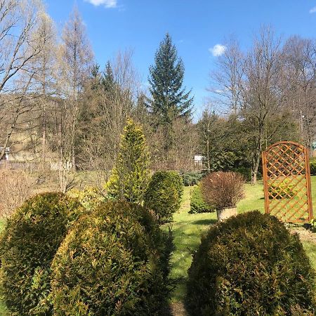 Apartament Halina Apartment Ladek-Zdroj Bagian luar foto