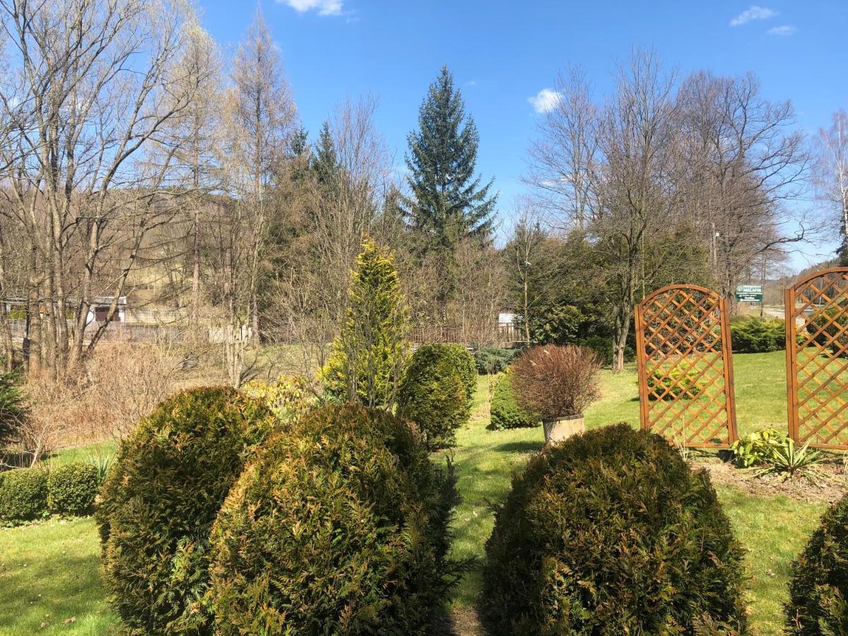 Apartament Halina Apartment Ladek-Zdroj Bagian luar foto