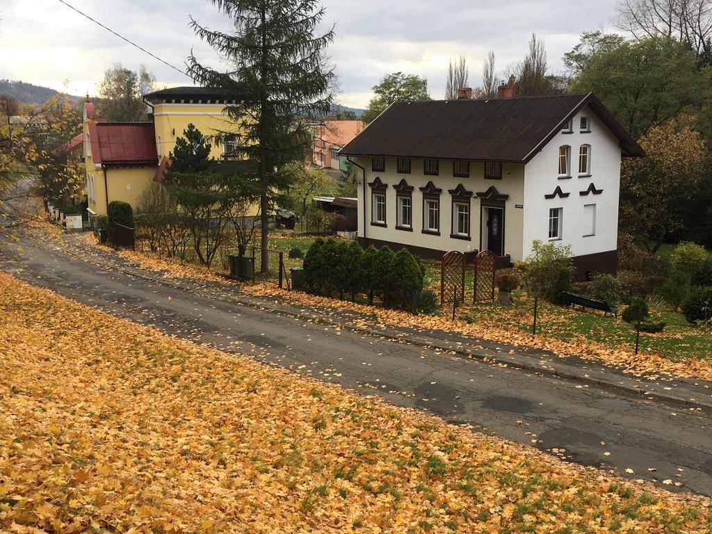 Apartament Halina Apartment Ladek-Zdroj Bagian luar foto