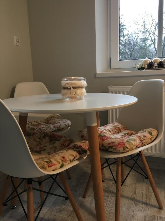 Apartament Halina Apartment Ladek-Zdroj Bagian luar foto